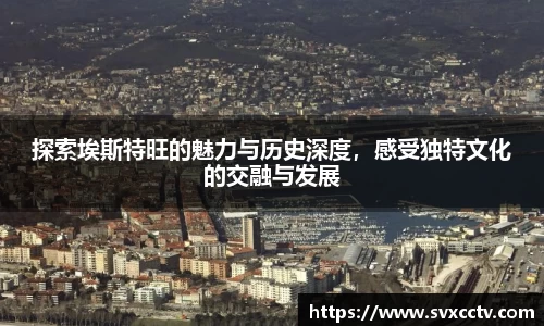 必威西汉姆官网