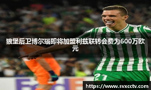 狼堡后卫博尔瑙即将加盟利兹联转会费为600万欧元